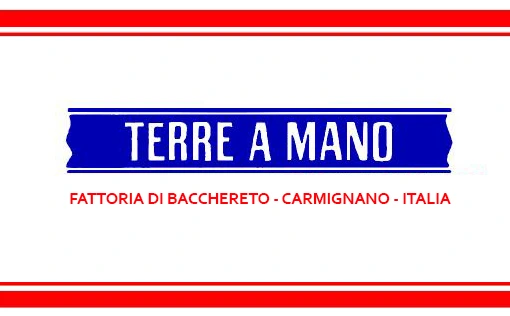 Fattoria di Bacchereto