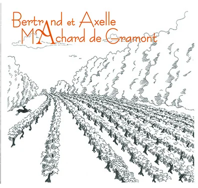 Vin de France Maceration Pelliculaire