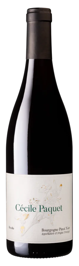 Bourgogne Pinot Noir