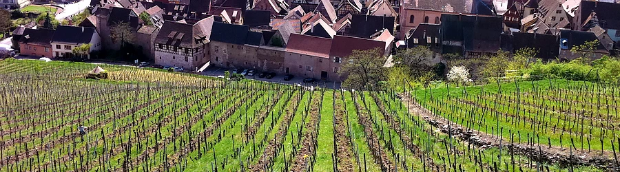 Crémant d'Alsace Non Dosée
