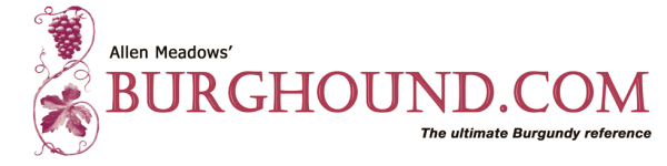 burghound-logo