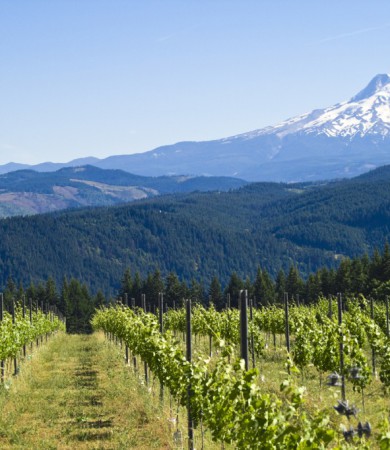 Oregon