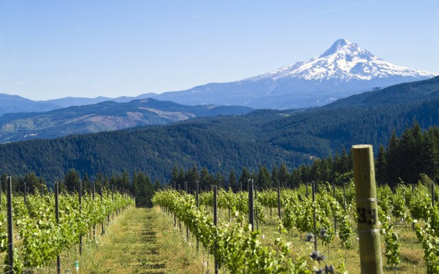 Oregon