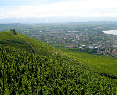 Rhone Valley